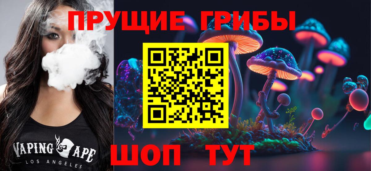 Ставрополь  Псилоцибиновые грибы Psilocybe  Вход с VPN 